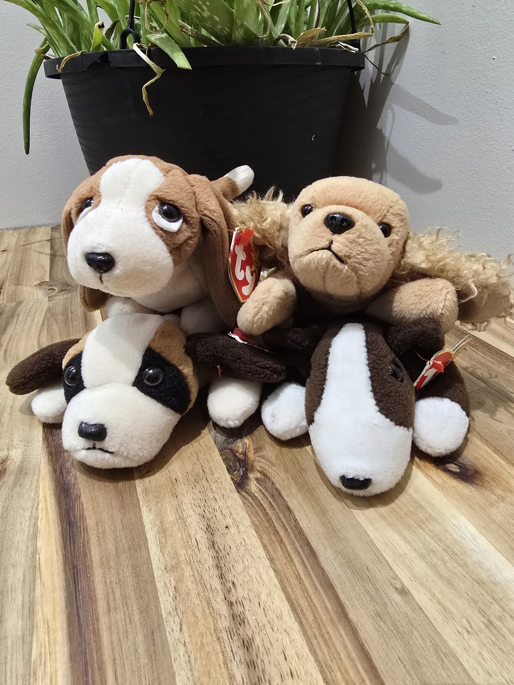 Ty Beanie Babies Dog Set - Brown & White